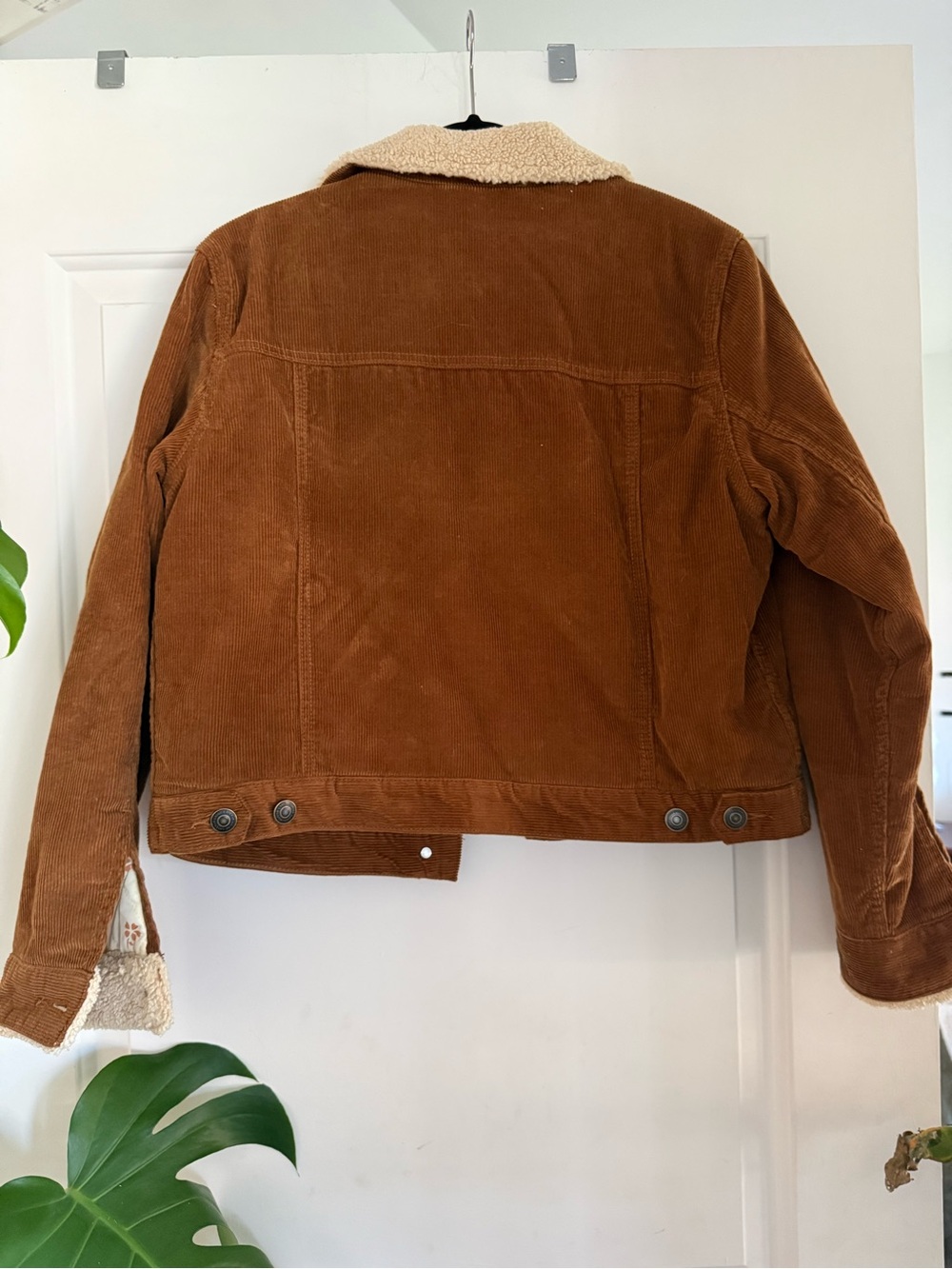 Marine Layer Brown Corduroy Teddy-Lined Trucker Jacket - Picture 2 of 6